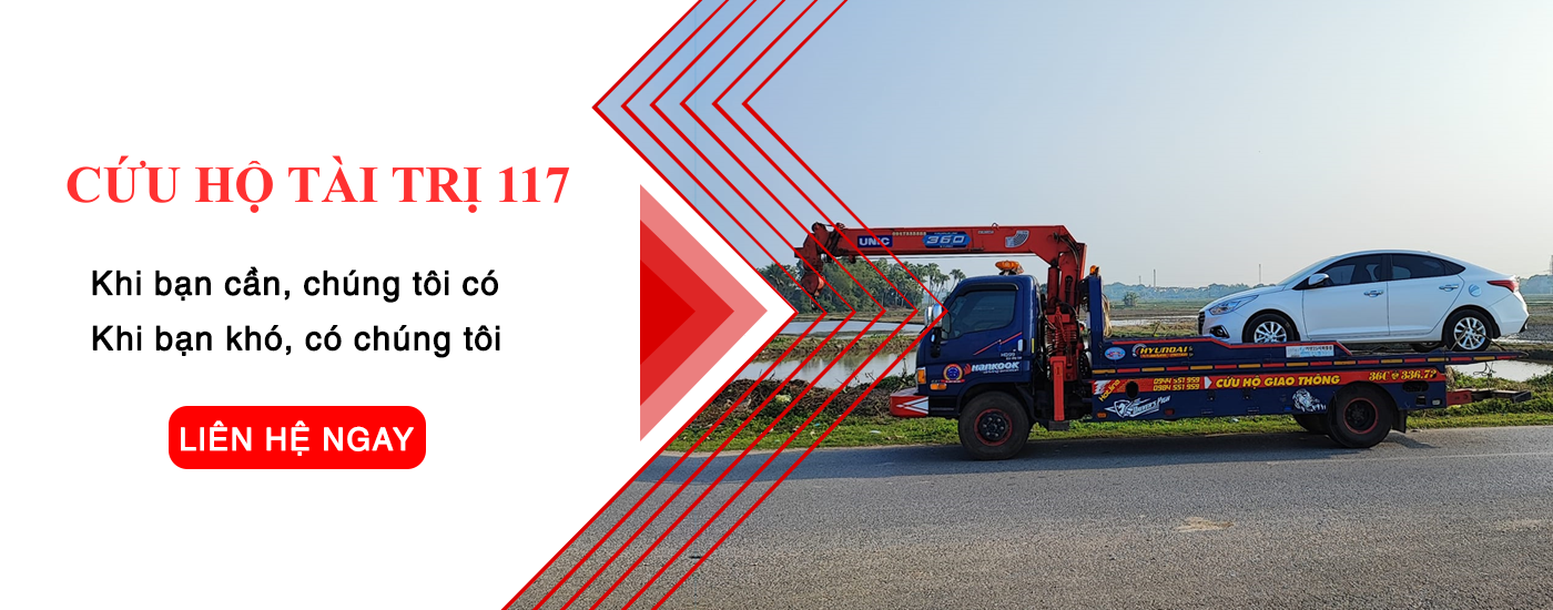 cứu hộ tài trị